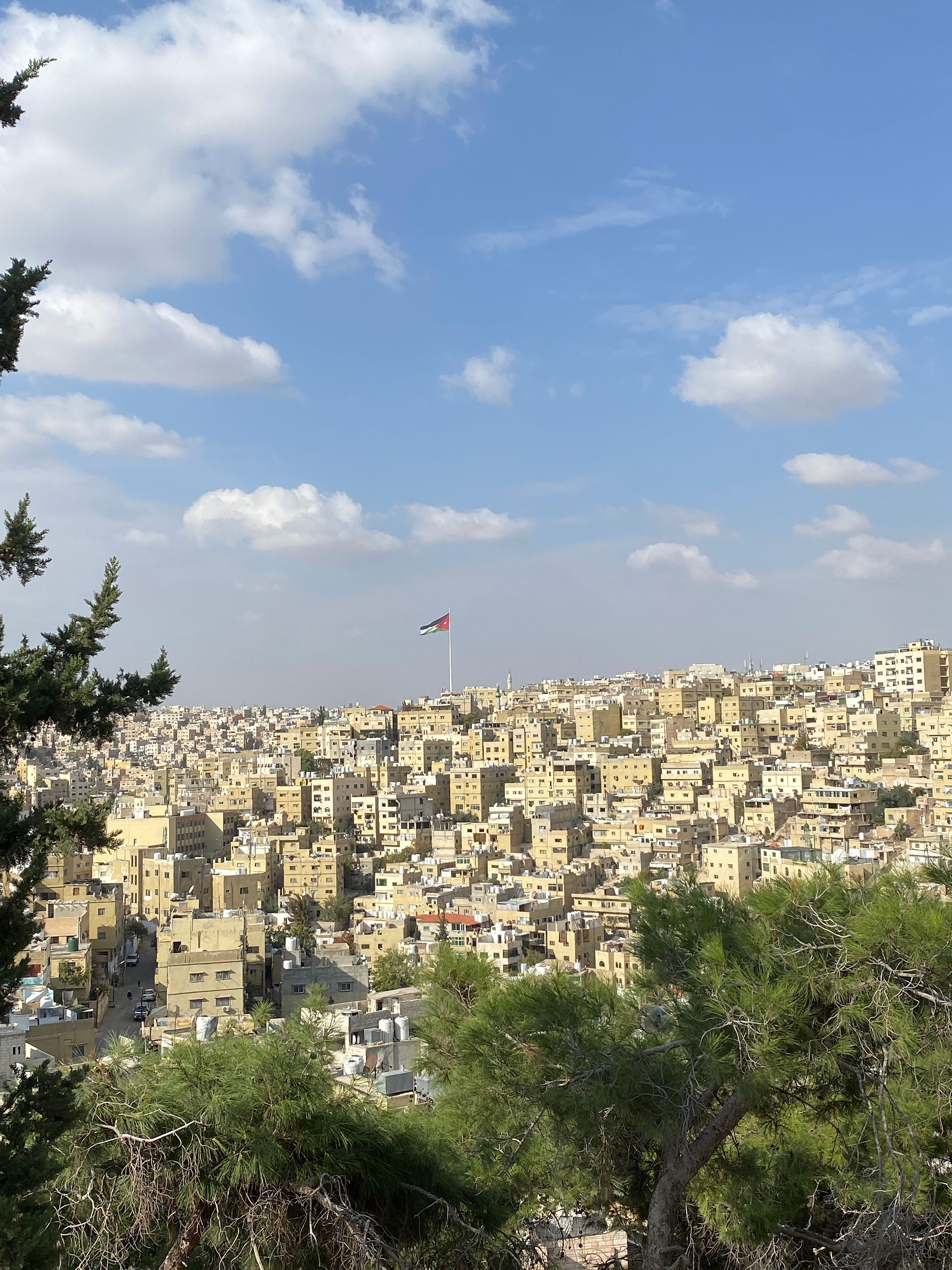 uitzicht vanop de citadel in Amman, Jordan