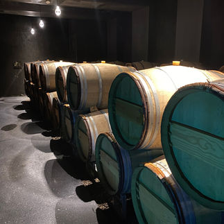 wijntonnen in de kelders van Leclercq Briant, Epernay, Frankrijk