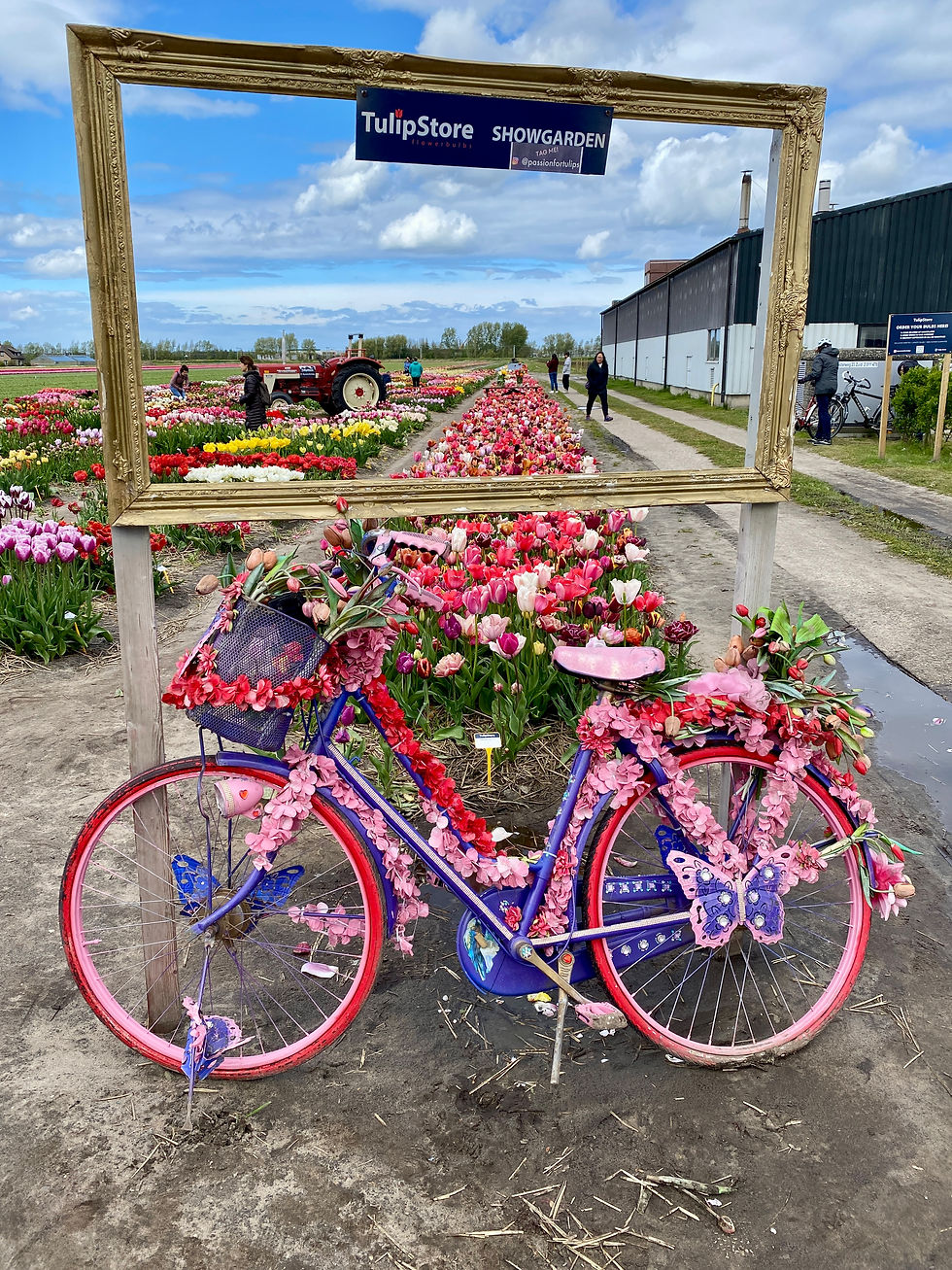 flowerbike made by the flowerbike man from Amsterdam