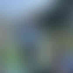 met de sampan naar de Dark and Light cave in Halong Bay Vietnam