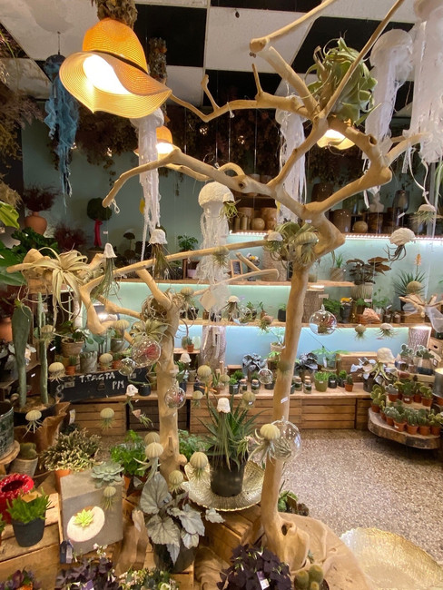 prachtige bloemenwinkel van Linda Artiste Florale in Rouen, Normandie