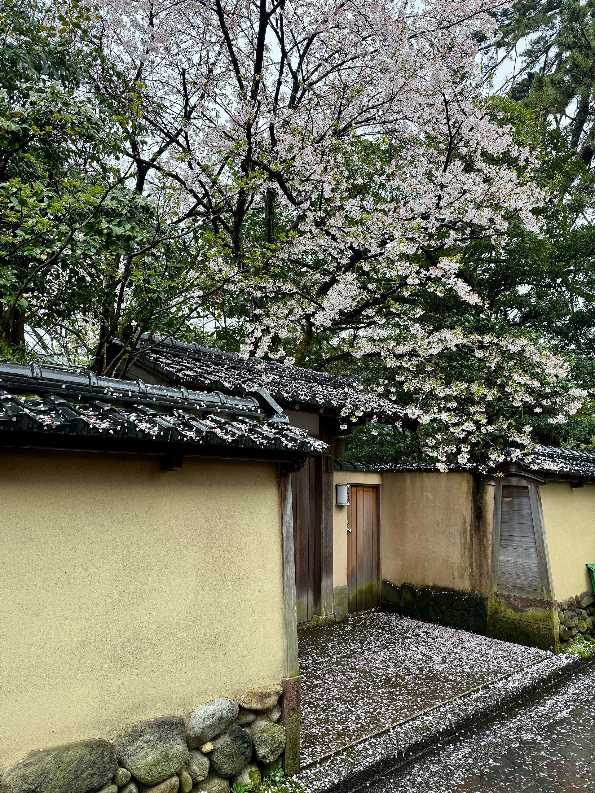 the Nomura Samurai House in Kanazawa, Japan