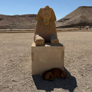 visiting Hatshepsut temple in Luxor, Egypt