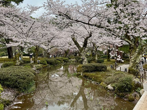 Kenroku-en tuin in Kanazawa, Japan in de lente