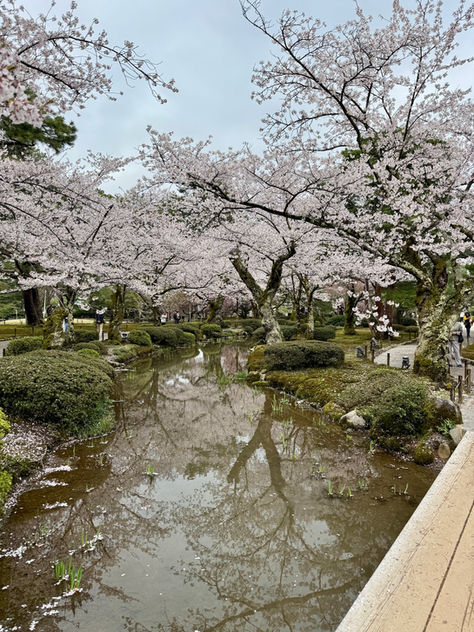 Kenroku-en tuin in Kanazawa, Japan in de lente