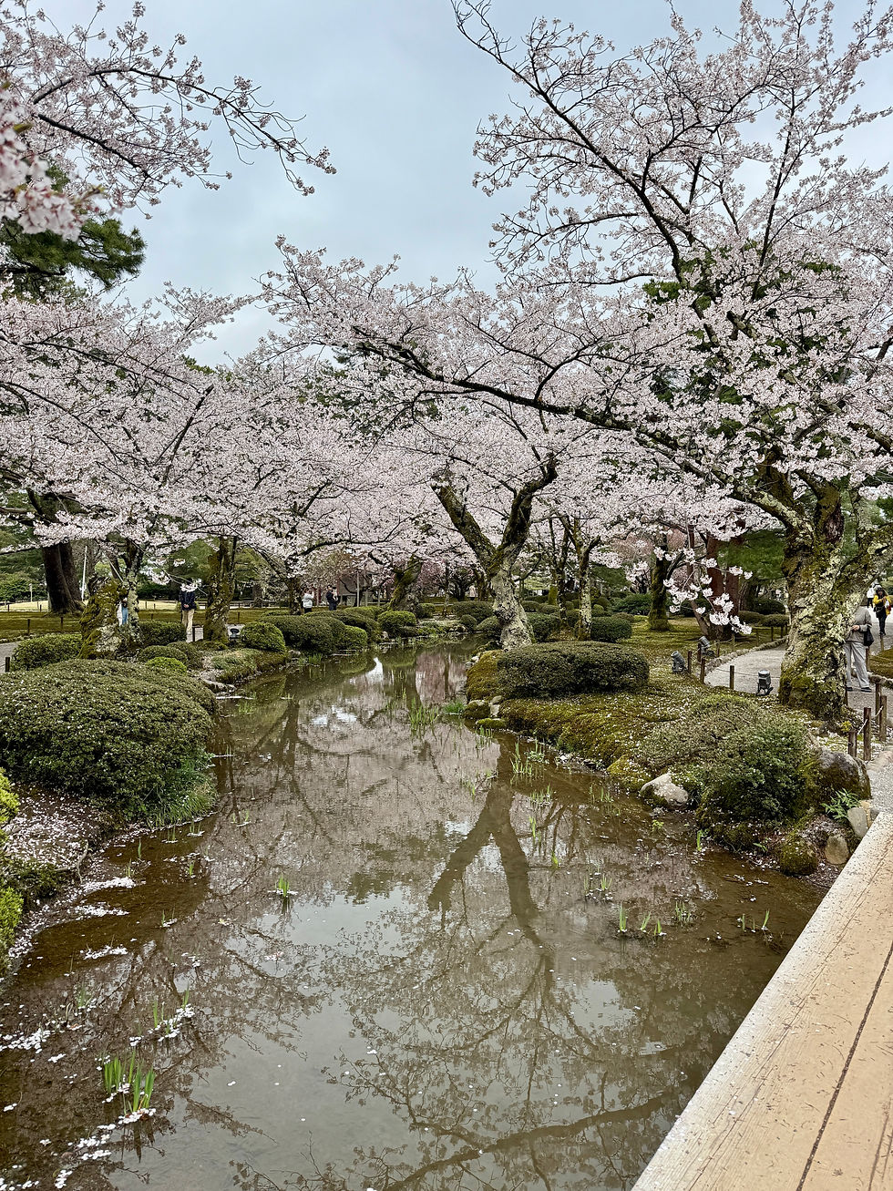 Kenroku-en tuin in Kanazawa, Japan in de lente