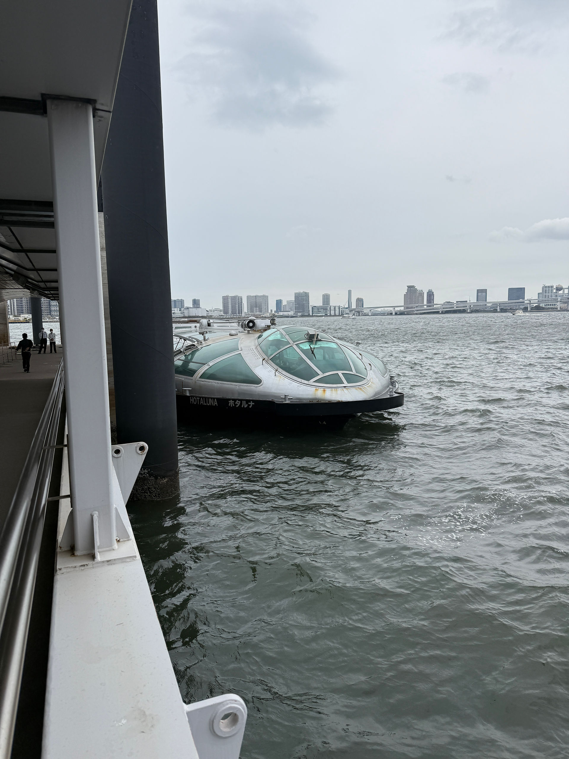 Tokyo Cruise vanaf de Hinode Pier in Tokyo, Japan