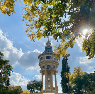 visiting the beautiful park on Margaret island in the middle of the Danube river, Budapest