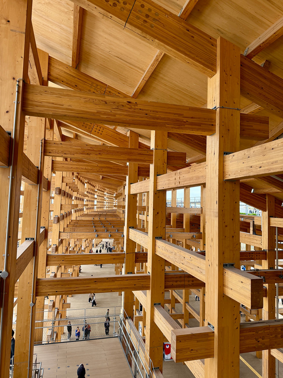 the world's largest wooden ring at the World Expo Osaka 2025, Japan