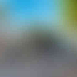 filmset Bad Monkey: Duval street in Key West, Florida, USA