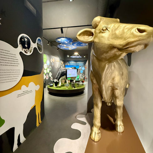 Interactive museum at the Gouda Cheese Experience in Gouda, the Netherlands