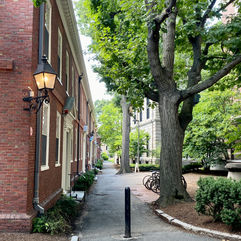 Harvard University in Boston