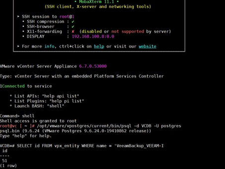 Vcenter da inaccessibe data store silme