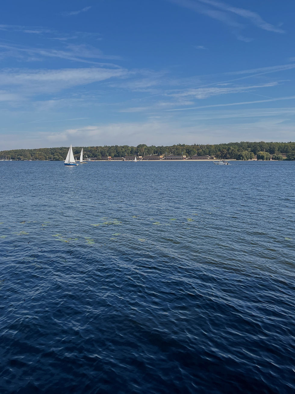 Sailboats and a motorboat on a calm blue lake under a clear sky, with a wooded shoreline in the distance.