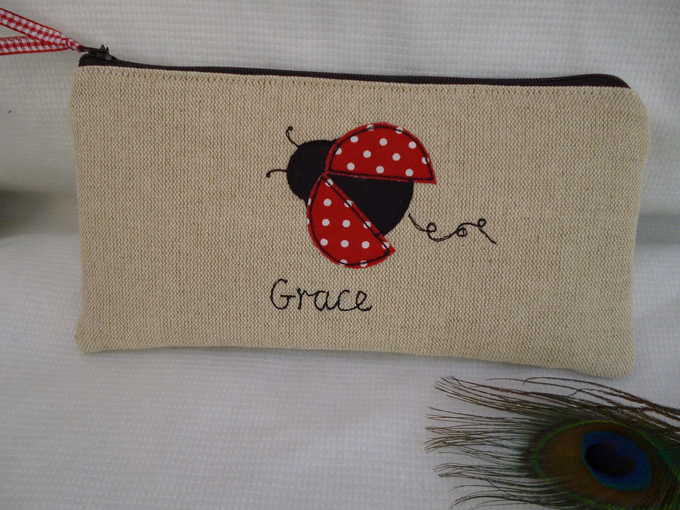 Thumbnail: Ladybird gift for her