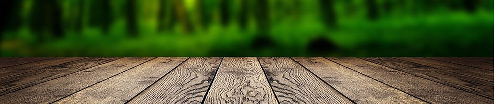 Galerie_banner02.jpg