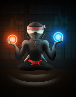 ninja man