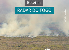 Setembro já é o mês com maior número de focos de incêndio no Pantanal desde 1998