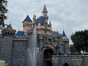 Disneyland castle picture.jpeg