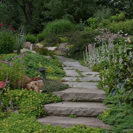 Landscaped garden with stone steps