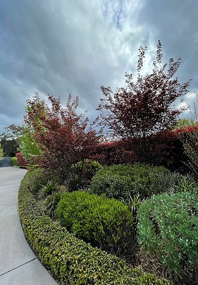 7 Bamburgh Place_Bundanoon 3.jpg