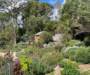 Garden7a.jpeg