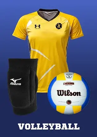 Gear Greatness - Volleyball (1).webp
