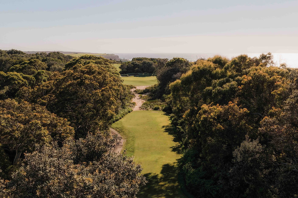 DJI_20260311093005_0350_D-HDR.jpg