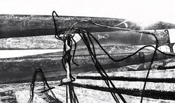 AGAINST THE SUN II  2013 -etching- 100x60 cm
