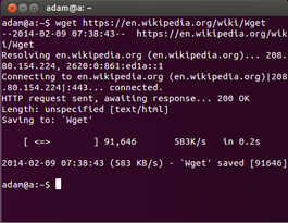 Wget Command: What It Is and How to Use It (12 Examples Included)