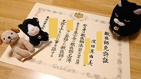 Sara Vet licence edit.._edited.jpg