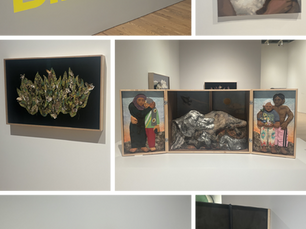 WHITNEY BIENNALE RIFFS ON DIVERSITY IN ART