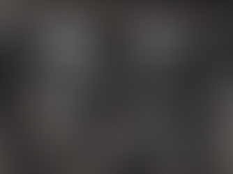 GLORY! GLORY! SALON TALK EXPLORES ART, PATRIOTISM, AND CIVIC DIALOGUE