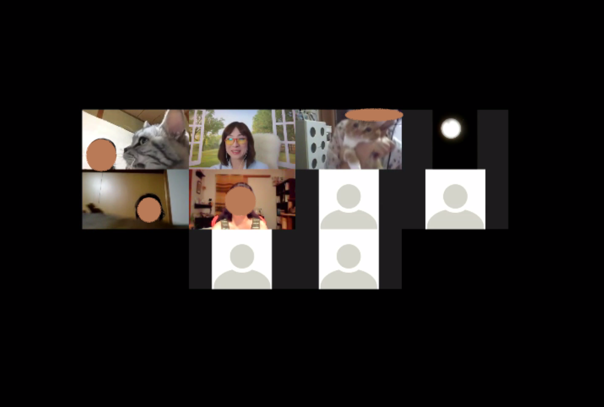 WEBセミナー開催