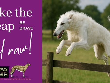 Take the Leap!