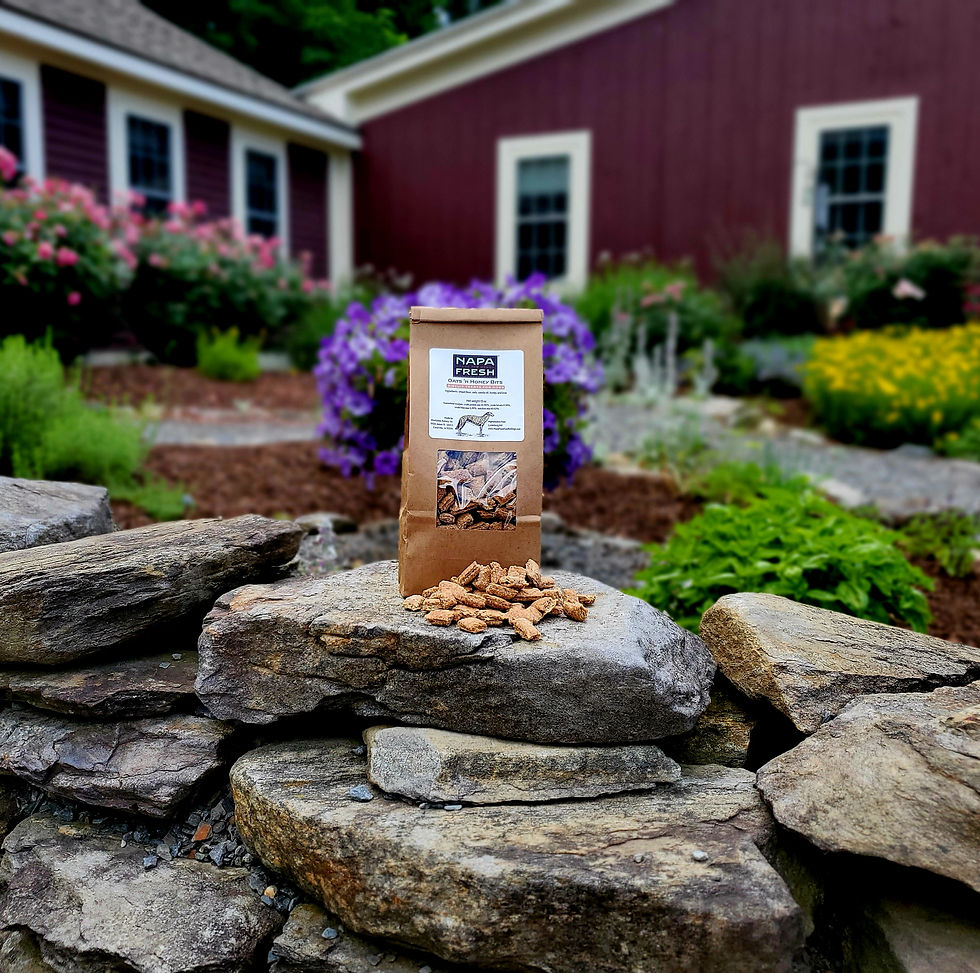 Thumbnail: Oats 'n Honey Minis