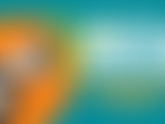 DACA Renewal Process Delays