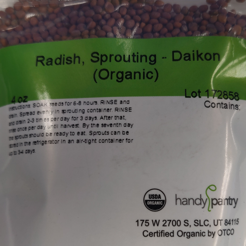 Thumbnail: Radish, Sprouting - Dalkon (Organic), 4 oz