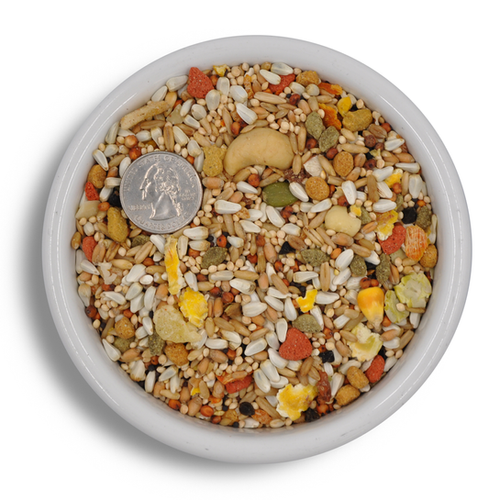 Safflower Gold Cockatiel & Conure, Per Pound Sugarcreek Bird Farm Store