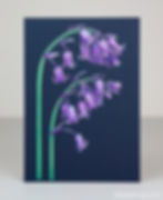 Bluebell screenprint by Hannah McVicar