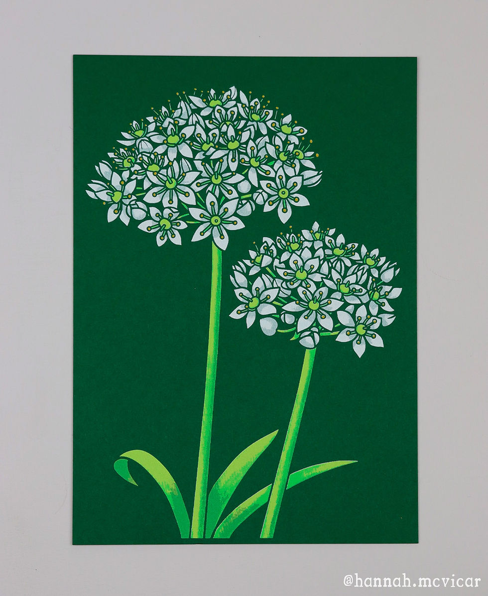 Thumbnail: Allium nigrum screenprint by Hannah McVicar