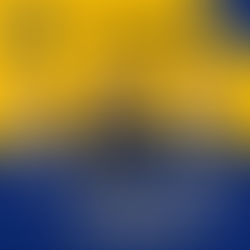 玉木 雄一郎代表 来道