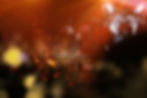 Award winning producers choose Storm Multimedia