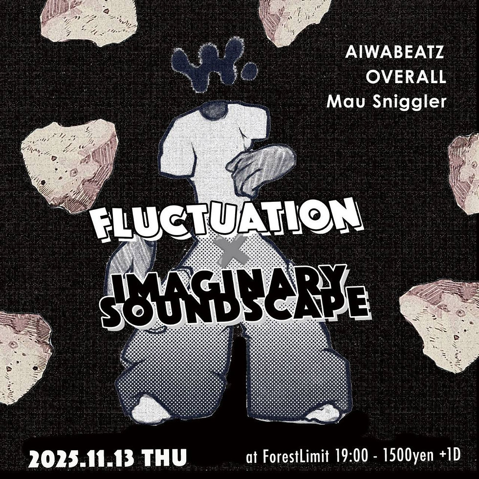 【FLUCTUATION×IMAGINARY SOUNDSCAPE】