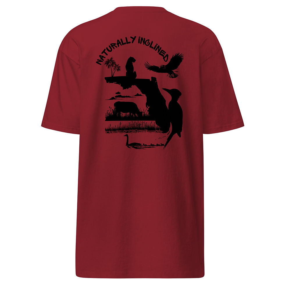 Thumbnail: This trillep.com exclusive country t-shirt features a clean minimalist Florida swamp design for him or her