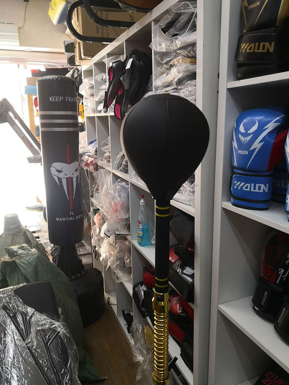 Thumbnail: HIGH SPRING BOXING STAND