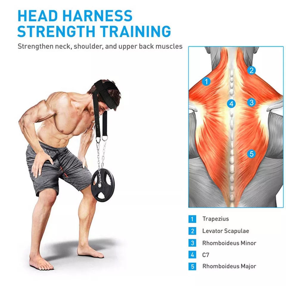 Thumbnail: Head holder 