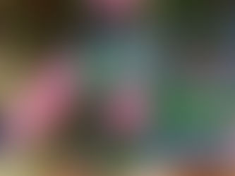 椿