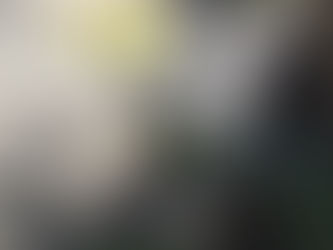 暖かい冬