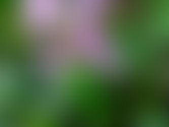 秋めいてきました。 2021.9.27